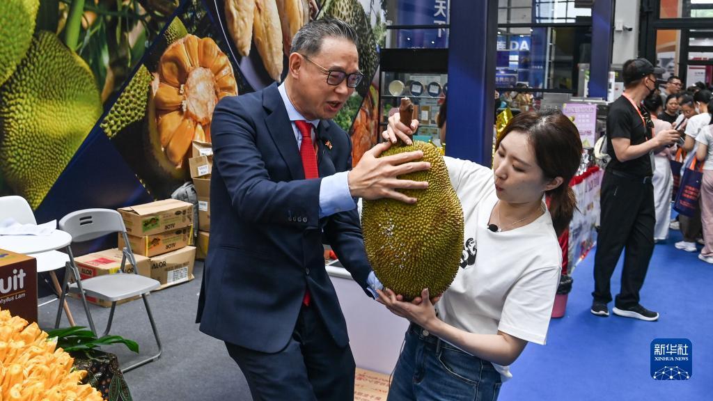 星力九代注册送100金币